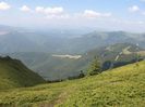 IMG_2661