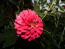 DSCN9322