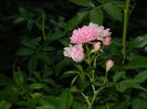 DSCN9325