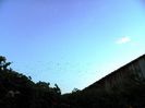 DSCN9329