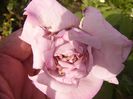 P1190535