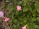 P1190625