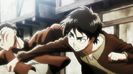 eren 37