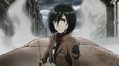 mikasa 16