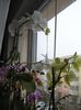 DSC08285