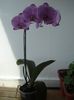 DSC08475