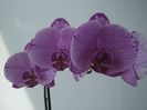 DSC08477