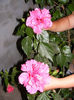 DSCF0076