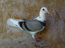 DSC00001