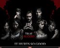 True Blood (2008 pana in prezent) vazut de qxInspiirattionDream