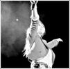 ailee8