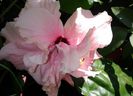 20130809_120147