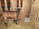 SAM_0774