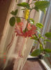 DSC08290