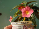 peach glow