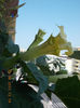 datura galbena balerina tutu