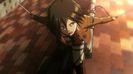 mikasa 45