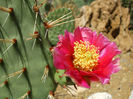 DSCF8283