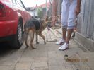 IMG_0429