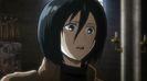 mikasa 49