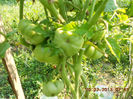 DSCN0001