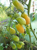 DSCN0008