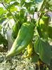 DSCN0021