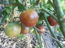 DSCN0035