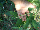 DSCN0047