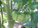 DSCN9527