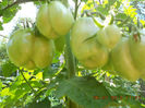 DSCN9669