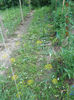 DSCN9684