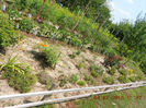 DSCN9685