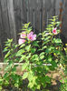 DSCN0180