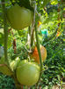 DSCN0193
