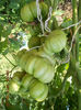 DSCN0197