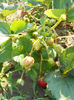 DSCN0204