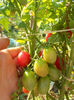 DSCN0264