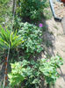 DSCN0321