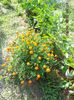 DSCN0322