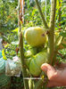 DSCN0324