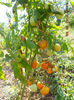 DSCN0326