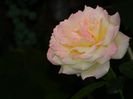 DSCN9381