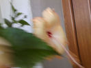 Fotografie5735