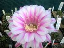 DSC01591