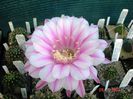 DSC01592