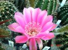 DSC01602