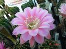 DSC01605