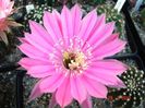 DSC01610