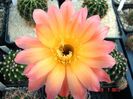 DSC01628